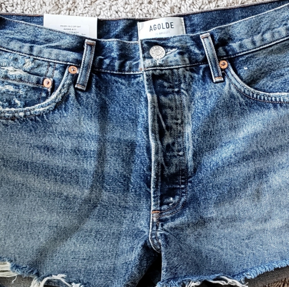 Agolde Parker shorts color is rock steady